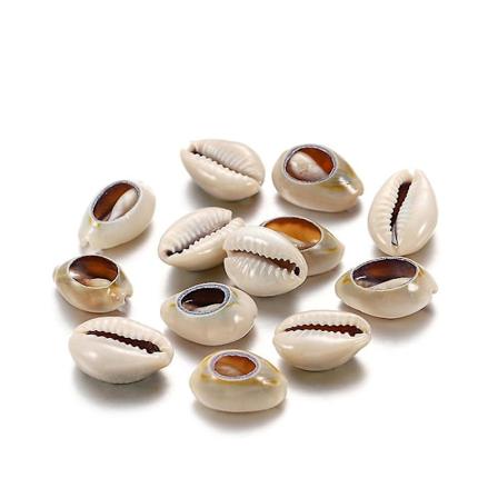 Cowrie-kiertelikorut DIY-korujen valmistukseen - 50 kpl 18-20mm Harmaa