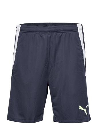 Teamliga Training Shorts 2 Blue PUMA