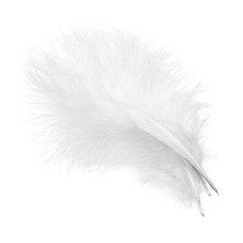 Marabou Plumes - Fl. White