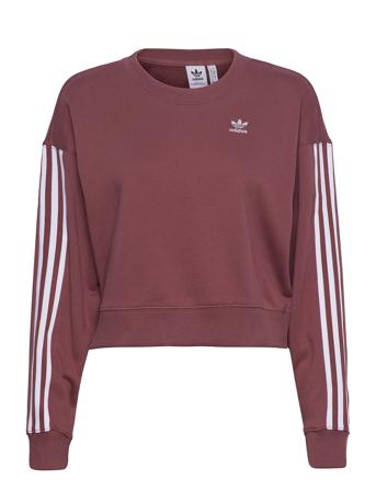 Adicolor Classics Sweatshirt W Sweat-shirt Tröja Lila Adidas Originals