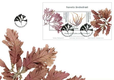 Danmark - EUROPA 2024 Undervandsfauna og -flora UDLAND - Førstedagskuvert miniark