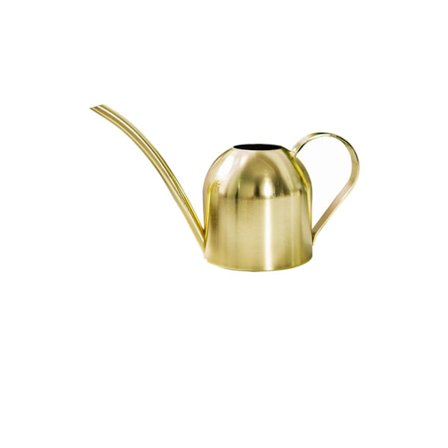 Vattenkanna i rostfritt stål, liten vattenkanna med lång pip för hemmet, inomhus, utomhus, trädgård, suckulenter, 500 ml (Gyllene), 22*12,3 cm