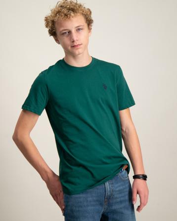 U.S. Polo Assn. DHM Tshirt Grün T-Shirts Jungen - Kidsbrandstore