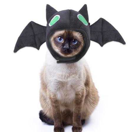 Halloween-hatt til kjæledyr - Teddy Fancy Dress Fladermous hårpynt
