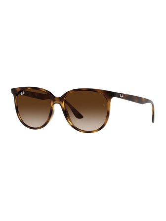 Ray Ban Sunglasses with a frame made of injected in brown and lenses made of plastic in brown