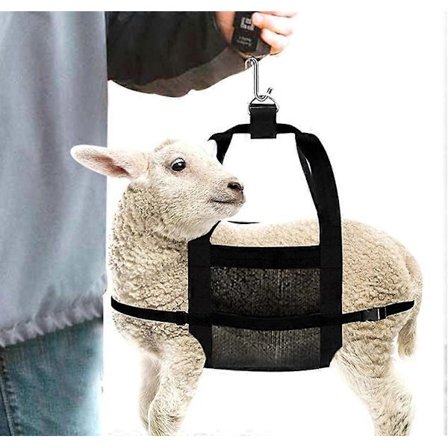 Kalvesele til vejning af dyr - Kalvevægt Hængende vægtsele med justerbare stropper til vejning af kalve, lam, geder, babyalpakaer