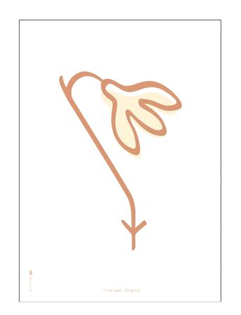 Vintergæk Hvid Home Decoration Posters & Frames Posters Illustrations Multi/mønstret Brainchild