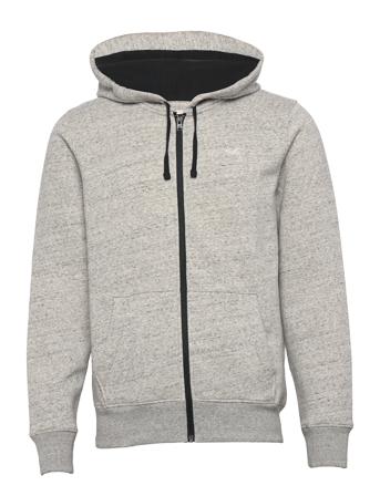 Hco. Guys Sweatshirts Grey Hollister
