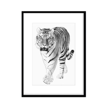 Poster Tiger Svart/Vit A4