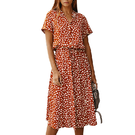 Western Style Little Bit Leopard Print Klänning Casual A-line Kvinnor