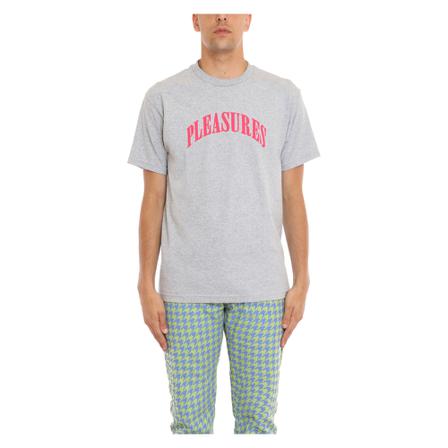 Pleasures Tee , Grijs , Heren , Maat: M Shirts