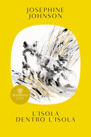 L'isola dentro l'isola Josephine Johnson