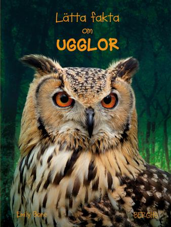 Lätta fakta om ugglor - Bok av Emily Bone - Inbunden