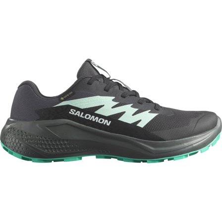 Salomon Alphaglide GTX W Phantom/Urban Chic/Waterfall
