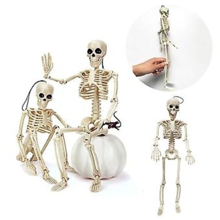 Halloween-skelett i plast, hopfällbar dekoration i form av en mänsklig skalle
