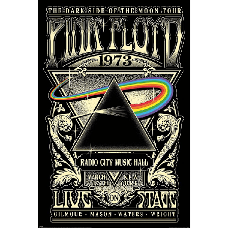 Pink Floyd Dark Side Of The Moon Poster En Storlek Svart/Silver