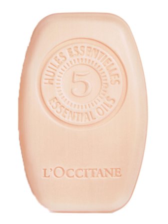 L'Occitane en Provence 5 essential oils repair solid shampoo 60.0g