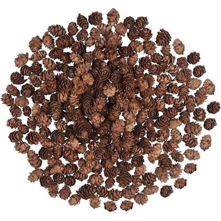 200 Stykker Julekongler, Mini Naturlige Kongler Thanksgiving Kongler Julekongler Ornamenter for Hjem DIY Håndverk Juletre Fal