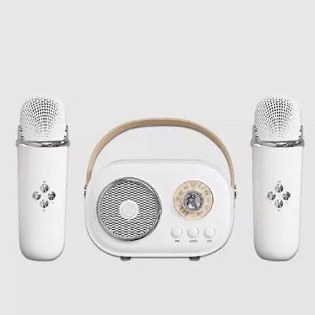 Bluetooth-høyttaler med 1-2 trådløs mikrofonstøtte Karaoke TF-kort FM-avspilling HIFI Bass Håndfri samtale Bursdagsgave til barn