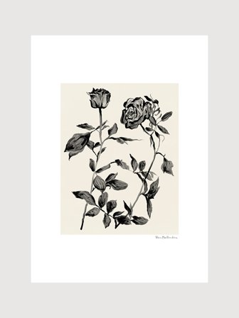 Poster med två rosor i svart på beige bakgrund | Kunstary.com, 70x100 cm