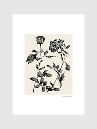 Poster med två rosor i svart på beige bakgrund | Kunstary.com, 30x40 cm
