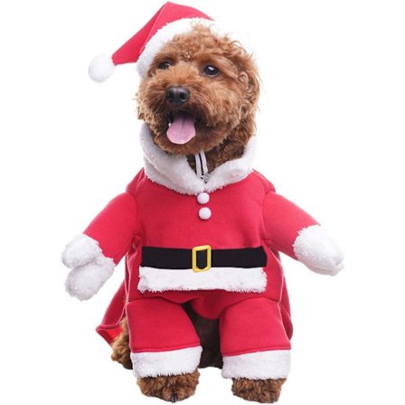 Hunde Julekostyme med Julenissehatt Kjæledyrkostymesett God Jul, M