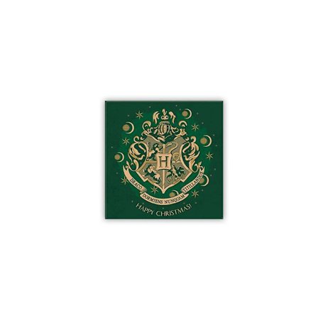 Harry Potter - Magnet 8x8cm - X-MAS - Hogwarts Green