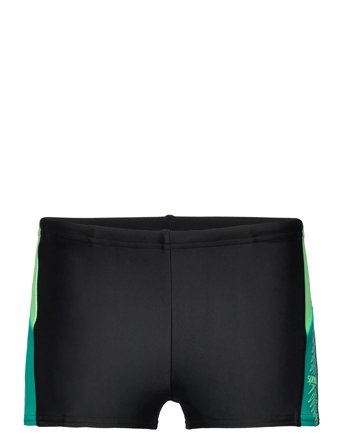 Speedo | Boys Dive Aquashort | 164