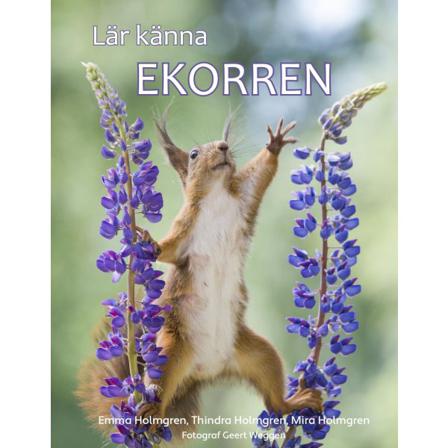 Lär känna ekorren 9789198528824