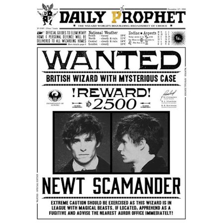 A3 Print - Harry Potter - Daily Prophet - Wanted Newt Scamander