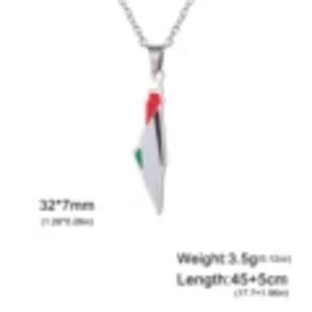 Cazador Rustfrit Stål Palæstina Kort Vedhæng Halskæder til Kvinder Piger Smykker Guld Farve Choker Halskæde Gave Engros 2024 Steel color 45-50cm