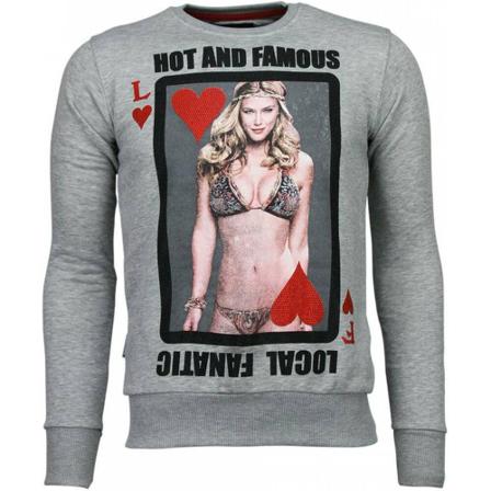 Local Fanatic - Tröjor - Grå - Herr - Storlek: 3xl, Herr, Storlek: 3XL