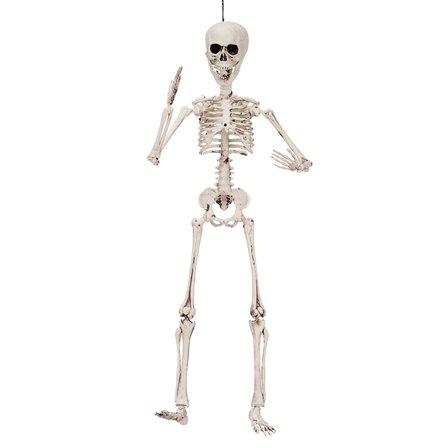 Taivutettava Luuranko Koriste