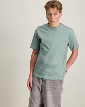 ONLY & SONS JUNIOR OSJFRED LIFE RLX SS TEE JRS Groen T-shirts Jongens - Kids Brand Store