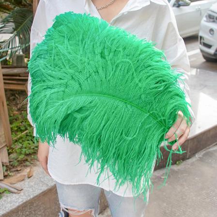 10 st/paket Färgade strutsfjädrar för smycken Toppkvalitet Fjäder DIY bröllop Fest Kreativa bordsdekorationer Hantverk grass green 15-20cm 6-8inch