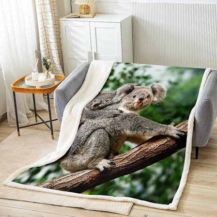 Koala-peitto sänkyyn, sohvalle, lapsille, Koala-perhe, pörröinen peitto, villieläinaiheinen fleece Sherpa-peitto, luontoaiheinen pehmopeitto
