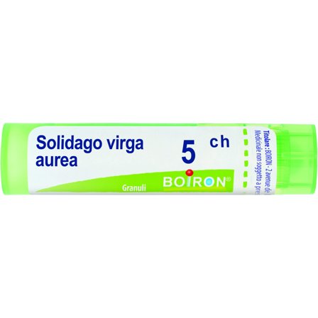 Boiron Solidago Virga Aurea Granuli 05Ch Tubo 4g