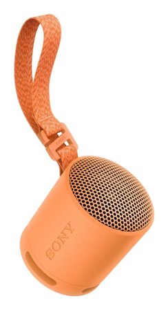 Sony SRS-XB100 - høyttaler - for bærbar bruk - trådløs