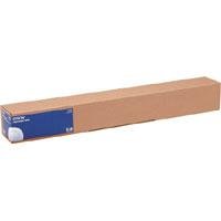 Epson fotopapir - blank - 1 rull(er) - Rull (43,2 cm x 30,5 m) - 250 g/m²