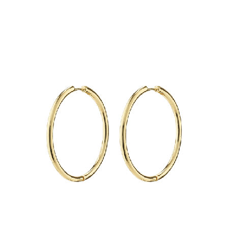 Pilgrim Eanna Earrings Smycken & klockor Dam Guld ONESIZE