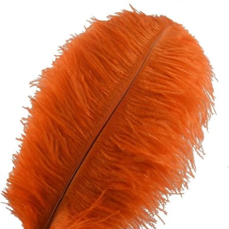 10 st Strutsfjädrar 30-35 cm (12-14 tum) för Hem Bröllopsdekoration