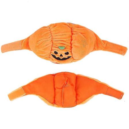 Plysch Hund Katt Pumpa Hatt Halloween Cosplay Prop 1st