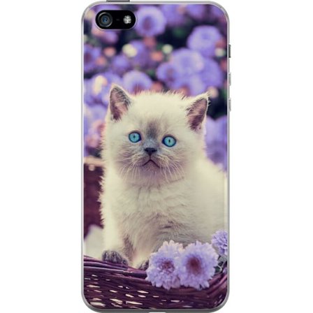 Apple iPhone 5 Gennemsigtig cover Kat
