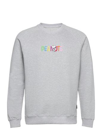 Sweatshirt Malmoe Peanuts Logo Grey Melange Grey DEDICATED
