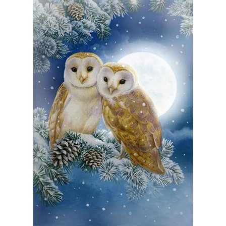 DIY 5D neliön muotoinen timanttimaalaus - 30 x 40 cm, pöllökuvio, täysi neliö