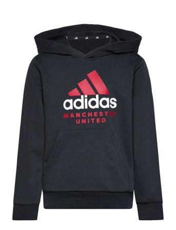 Manchester United Fc Kids Hd Tops Sweatshirts & Hoodies Hoodies Grey Adidas Performance