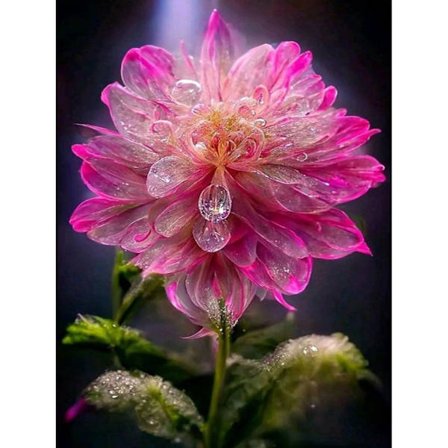 DIY diamantmaleri, diamantkunstmaleri blomstersæt