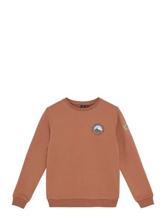 Indian Blue Jeans | Loose Fit Sweat Chest Print | 164