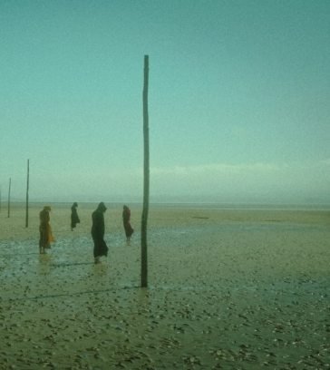 In all her forms DEVIL'S WITCHES