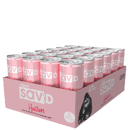 24 x Clean sav:D, 330 ml Finland